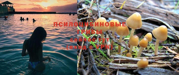 мет Заводоуковск