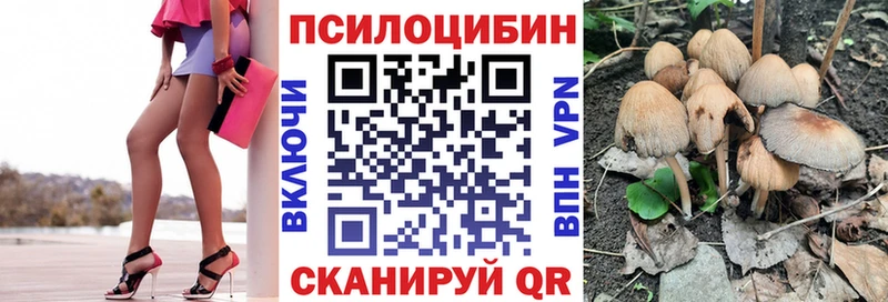 Псилоцибиновые грибы мухоморы  Купить где  Жердевка 